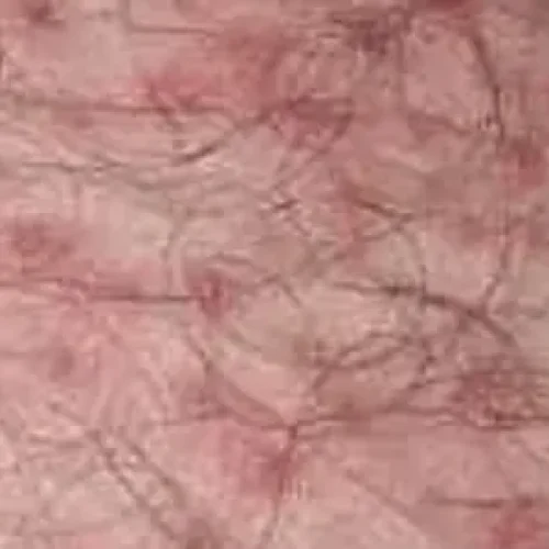 rs=w_600,h_300,cg_true (31)